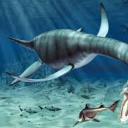 aspens-treehouse avatar