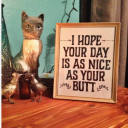 aspirationalchaos avatar