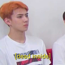 aspiring-proccrastinator-flower avatar