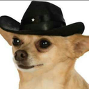 aspiringgaycowboy avatar