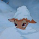 aspiringpandainternet avatar