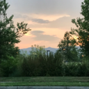 ass-thetic-kinda avatar