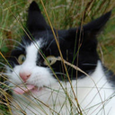 assassinregrets avatar