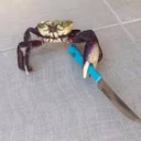 assaultcrab avatar