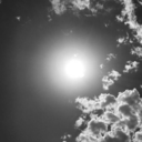 assenzecosipresenti avatar