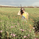 assimquevejoascoisas-blog avatar