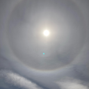 assortedfixations avatar