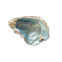 assortedfruitflavors avatar