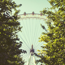 assortedminds avatar