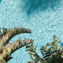 assthetically-pleasing avatar