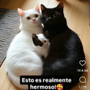 assumedaddict avatar