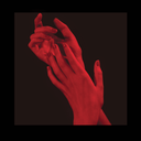 assumedanemone avatar