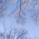 asteroid-b-612 avatar