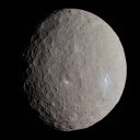 asteroid-belt-resident-ceres avatar