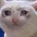 asteroideb404 avatar