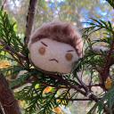 asterrovenator avatar