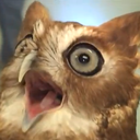 astonishedowl avatar