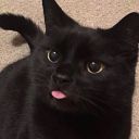 astraemoodboards avatar