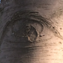 astral--spaces avatar