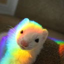 astral-ferret avatar