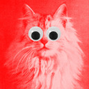 astral-projecting-brb avatar