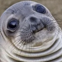 astrallytadpoled avatar