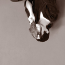 astraltravels avatar