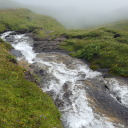 astraltroubadour avatar