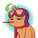 astrangelittlebird avatar