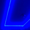 astridpanuco1 avatar