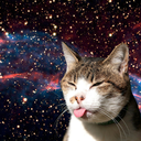 astrococonutcat avatar