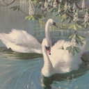 astrology-aesthetic avatar