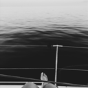 astrologystics avatar