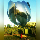 astromelia-24-blog avatar