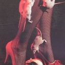 astronaut-long-for-ace avatar