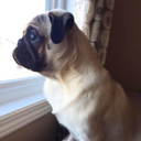 astrophileeeeeee avatar