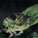 astrozombiezz avatar