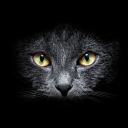 astupidblabberingmess avatar