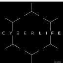 asukaindetroit avatar