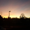 aswimmingcloud avatar