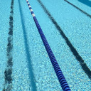 aswimmingpoollibrary avatar