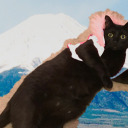 asxfffsxxxxdf avatar