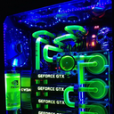 asylumofthedreams avatar