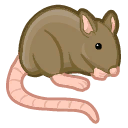 asymmetrical-sims avatar