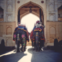 at-the-heart-of-things avatar