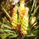 at2nd-blahblr avatar