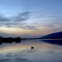 atelophobiaah avatar