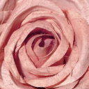 athena-wordll avatar