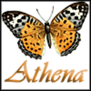 athena4lynn avatar