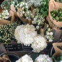 athenaahufflepuff avatar